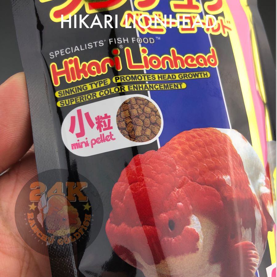 Hikari Lionhead Goldfish Sinking Pellets for Head Growth and Color Original Japan (50g, 100g)