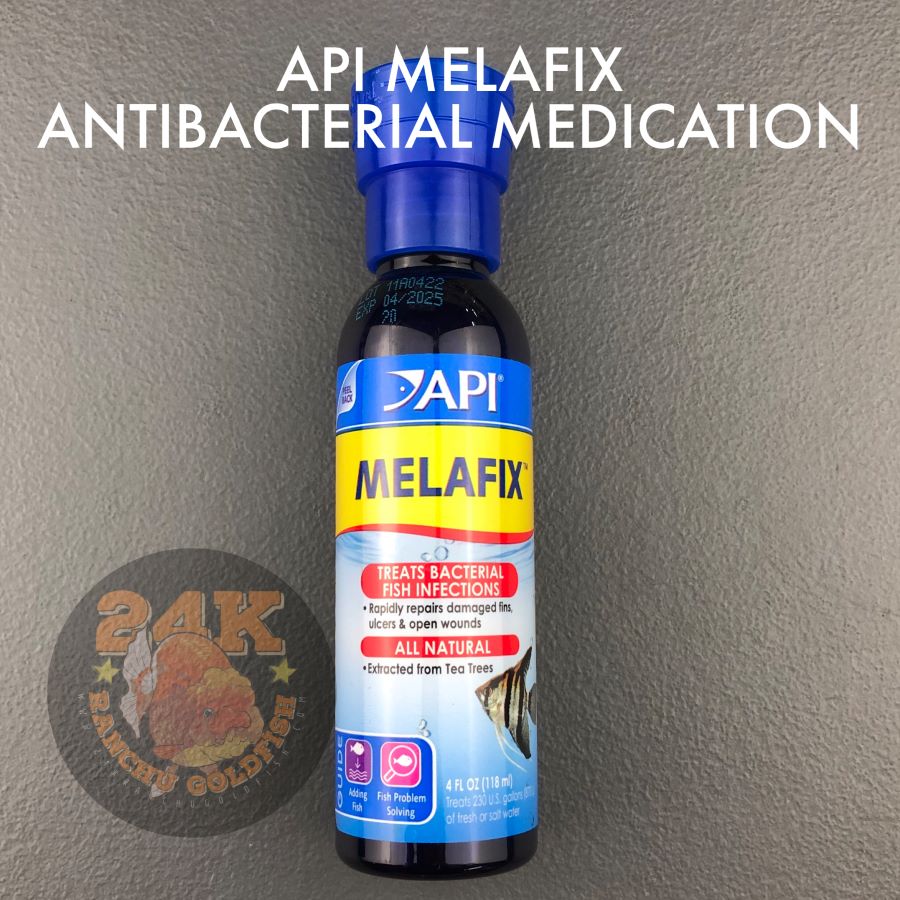 API Melafix Antibacterial Treatment for Fish Wounds and Abrasions Tail Rot Eye Cloud Fungus Original 118ml/237ml