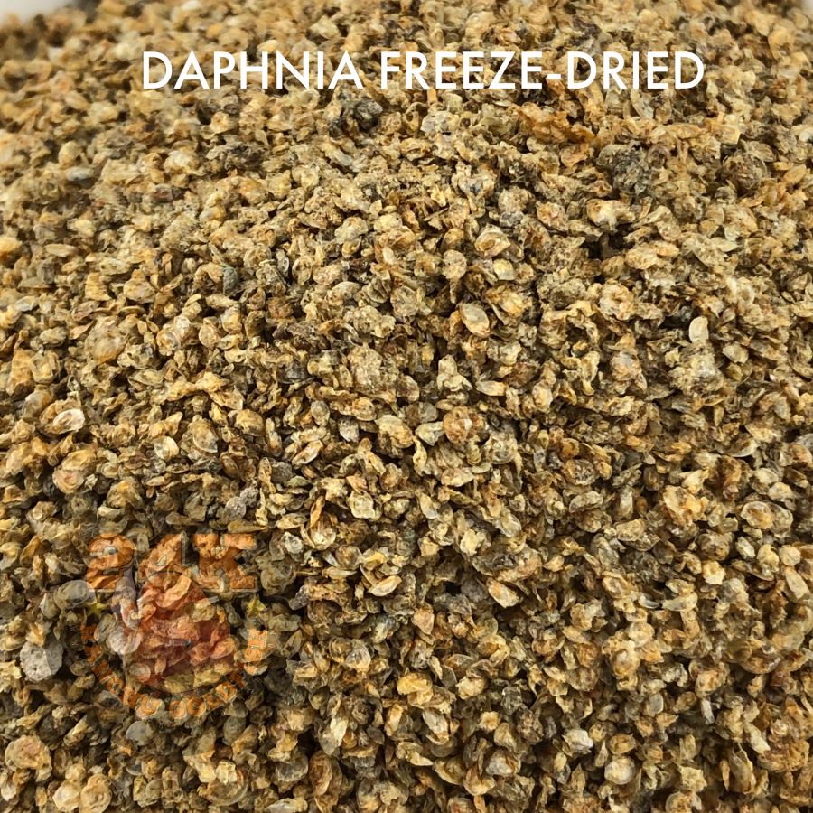 Daphnia Freeze-Dried Ready-to-Feed Fish Food for Aquatic Pets