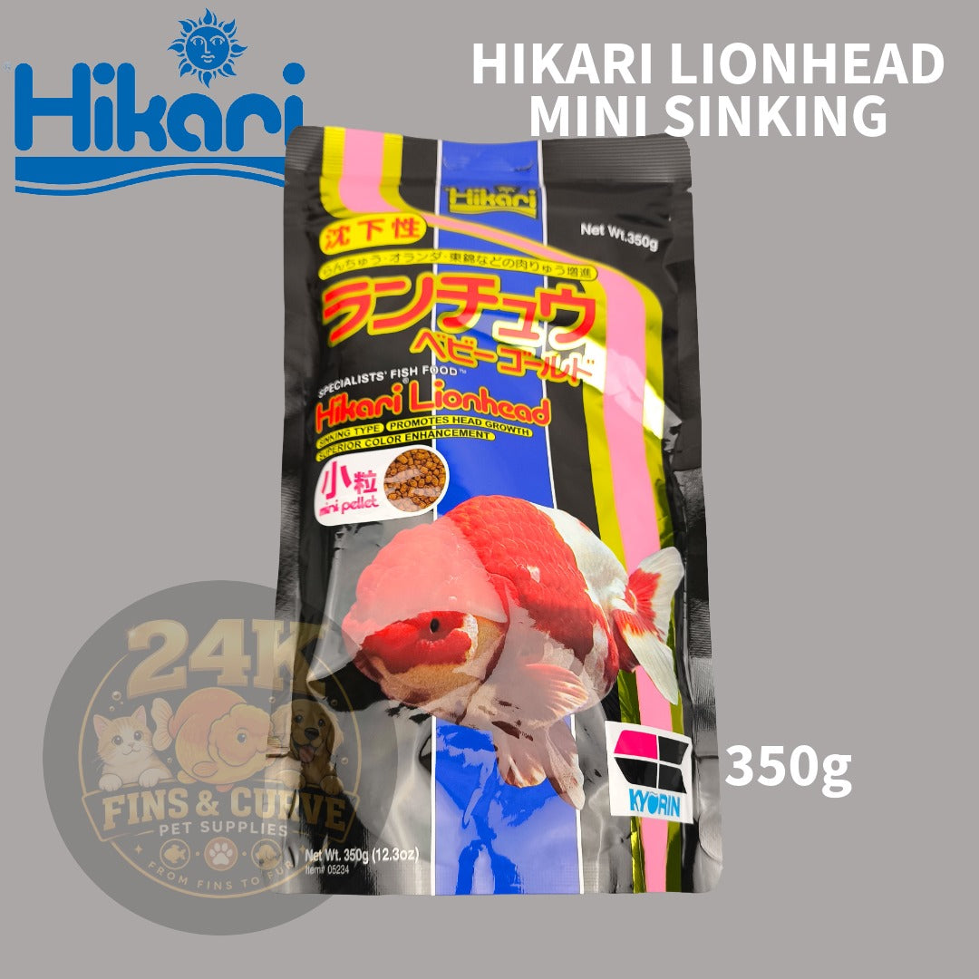 Hikari Lionhead Goldfish Sinking Pellets for Head Growth and Color Original Japan 350g