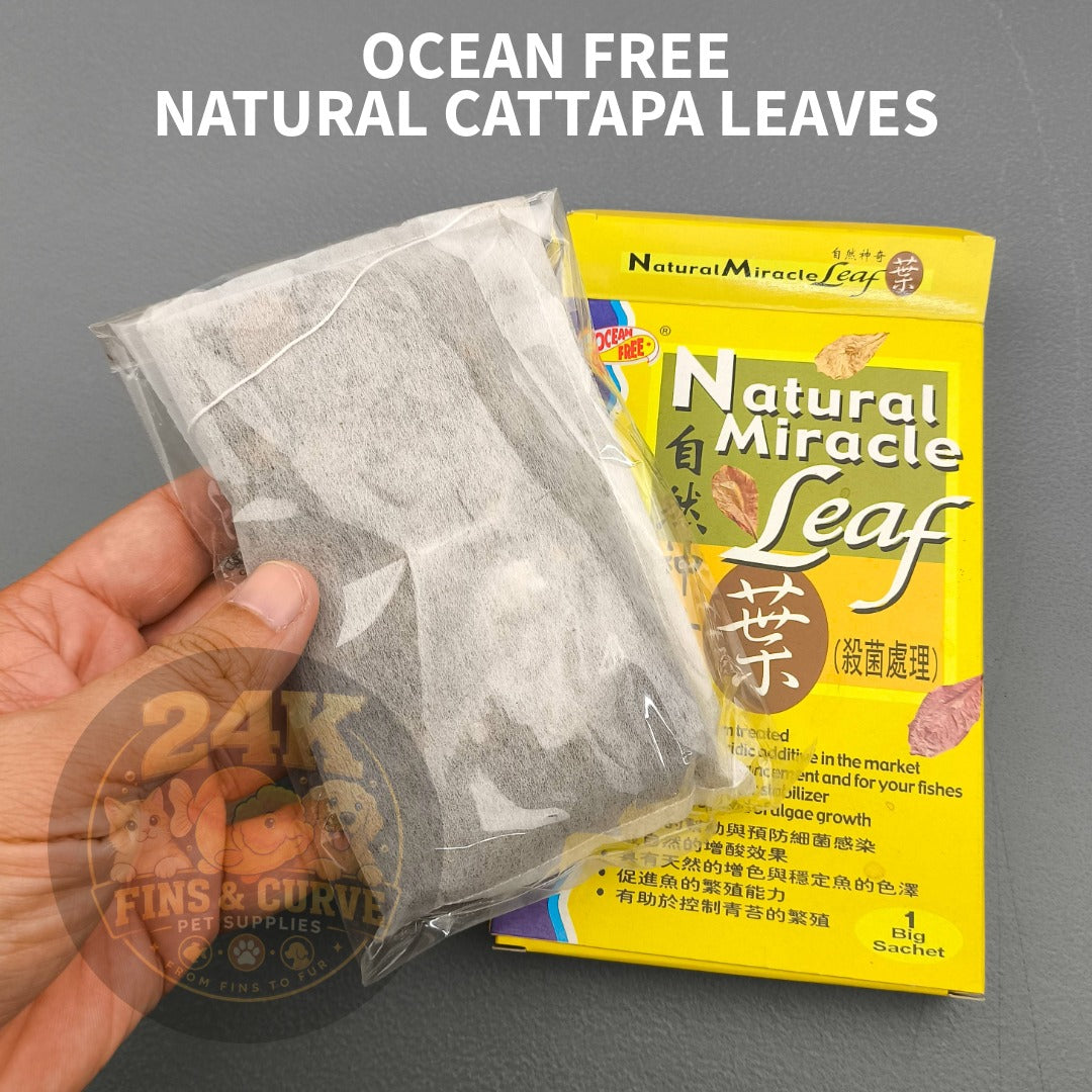 Ocean Free Natural Miracle Leaf Catappa Leaves Aquarium Water Conditioner 1 Big Sachet