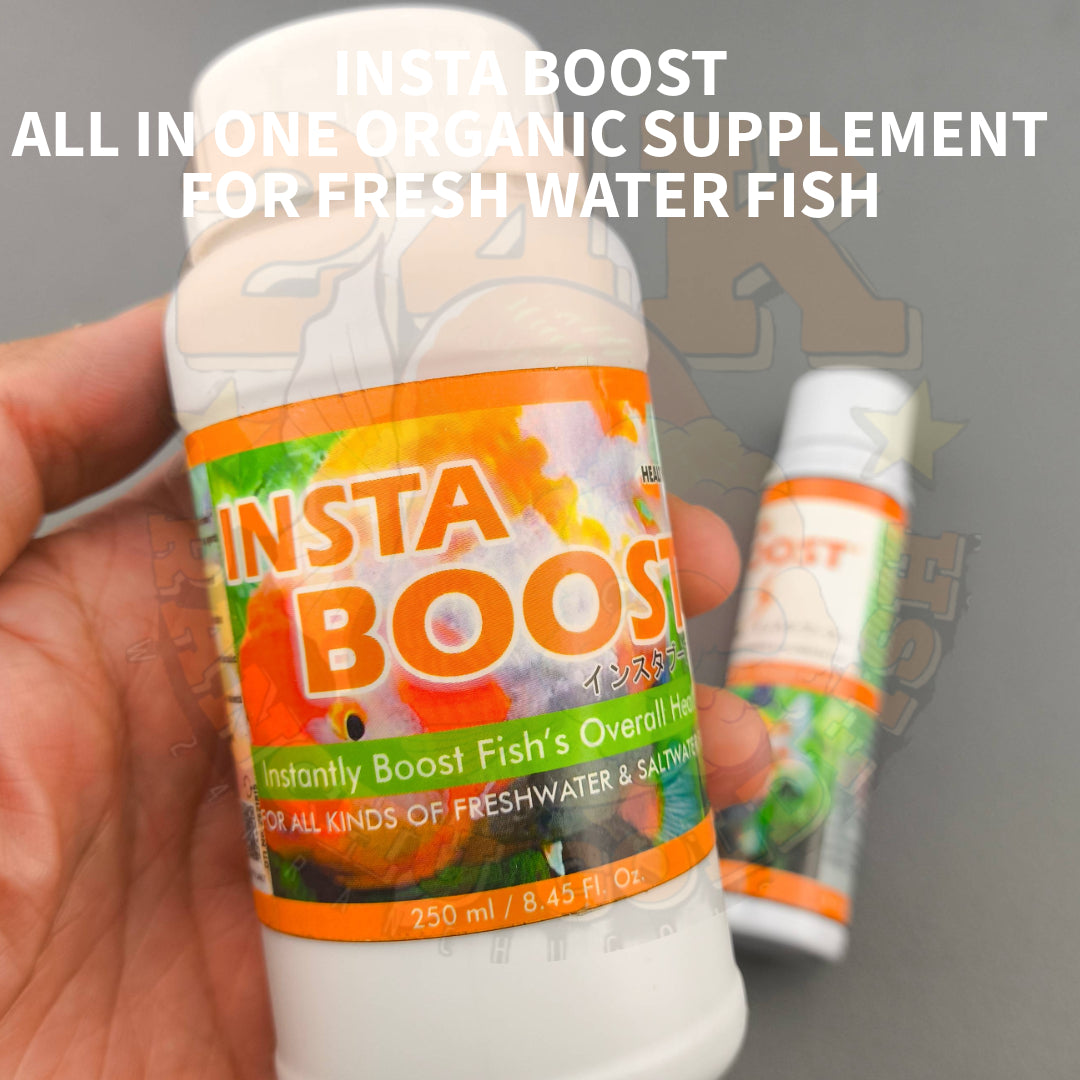 Pet Planet Insta Boost Immunity Booster for Ornamental Pet Fish