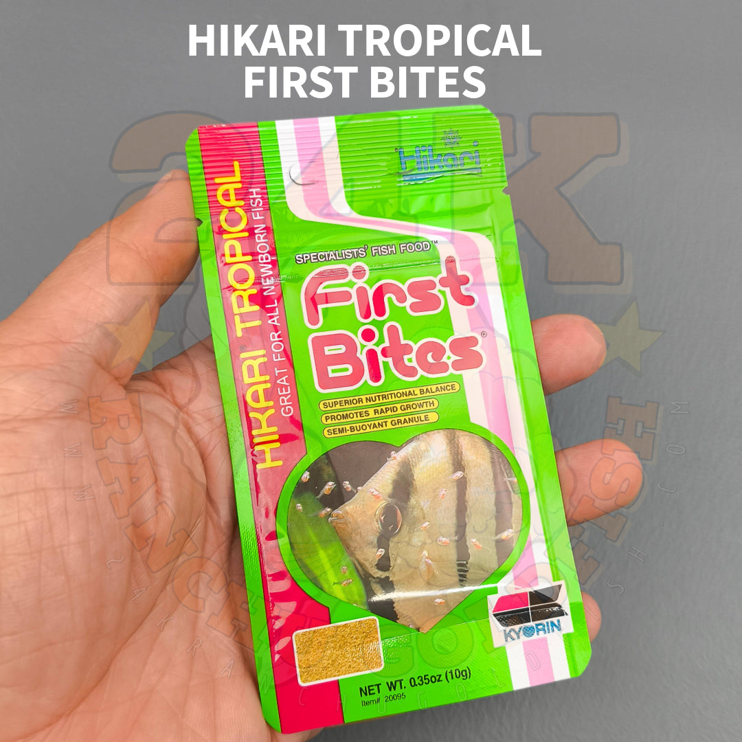 Hikari First Bites For All Newborn Fish Semi-Floating Granules Original Japan
