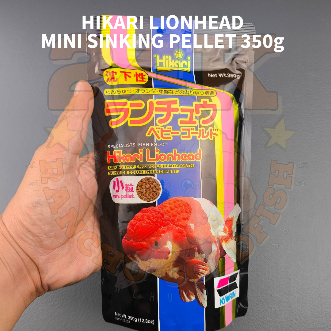 Hikari Lionhead Goldfish Sinking Pellets for Head Growth and Color Original Japan 350g
