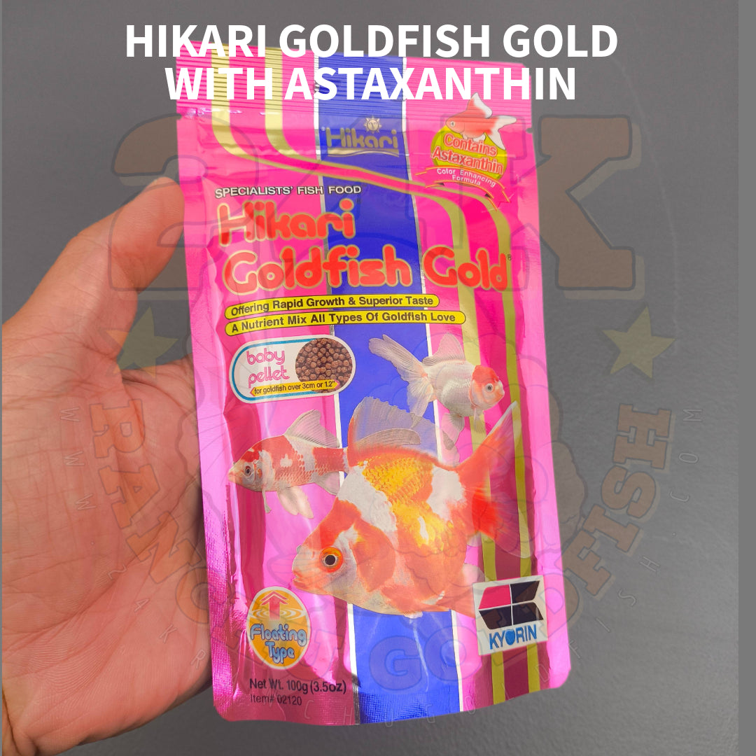 Hikari Goldfish Gold with Astaxanthin Floating Pellets For All Types Of Goldfish and Baby Koi Original Japan