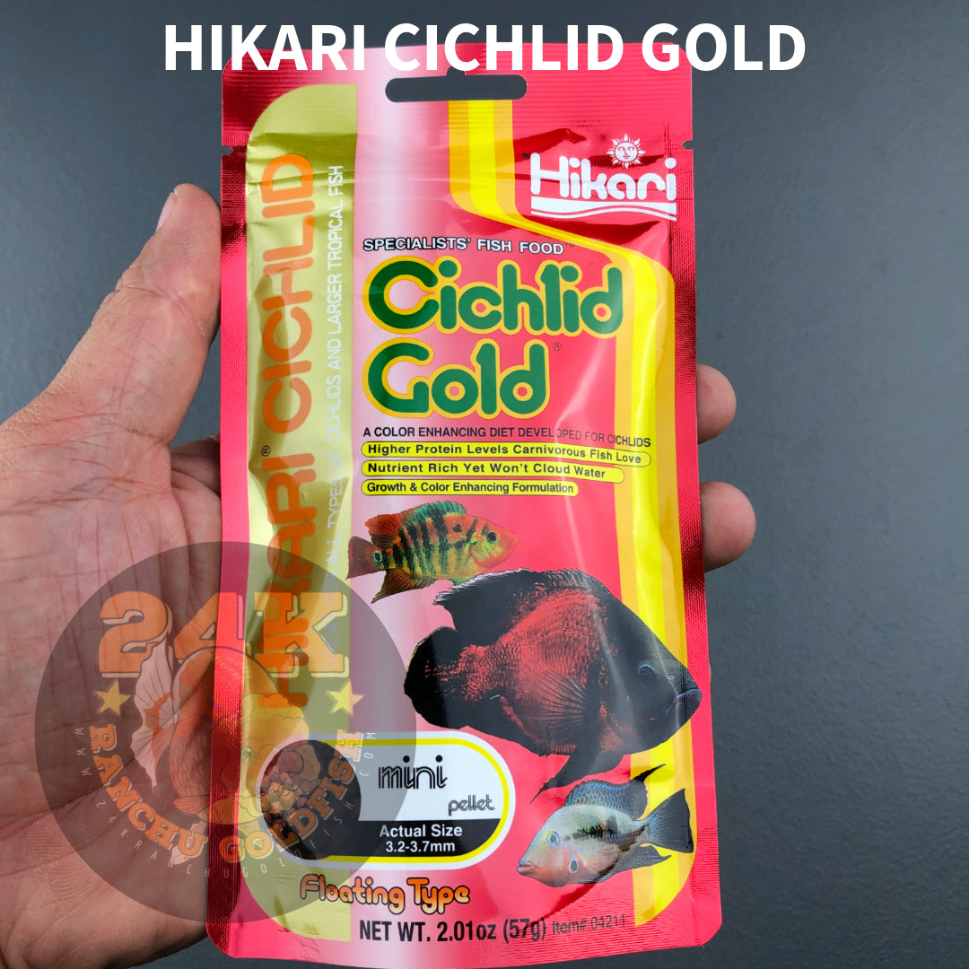 Hikari Cichlid Gold Floating Pellets Color-Enhancing Diet For Cichlids And Larger Tropical Fish Original Japan