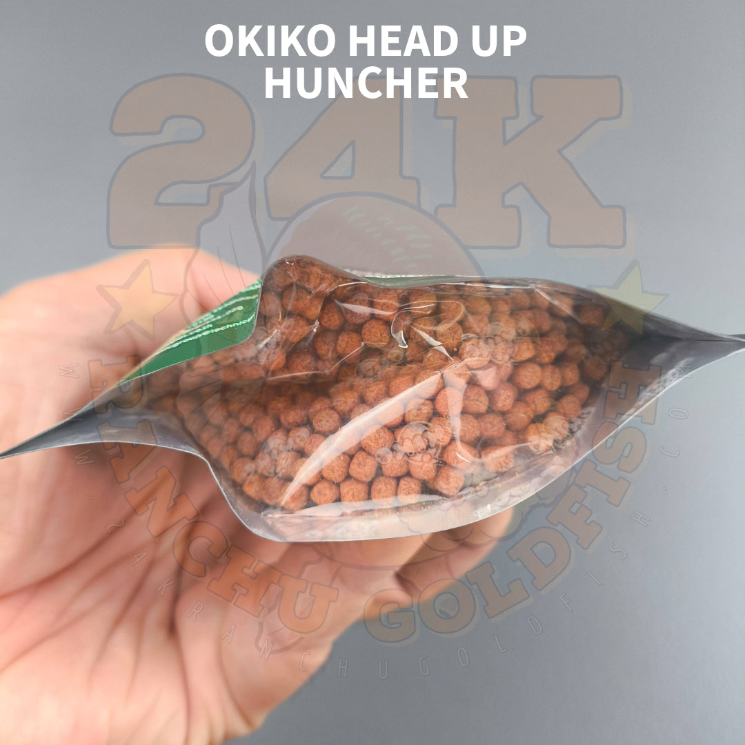 Okiko Green Head Up Huncher for Flowerhorn Original Thailand