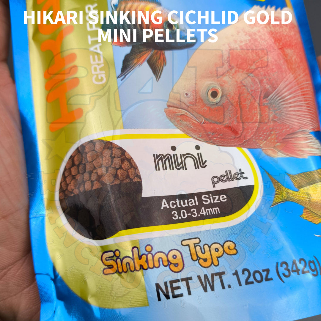 Hikari Cichlid Gold Mini Size Sinking Pellets For Cichlid And Larger Tropical Fish Original Japan