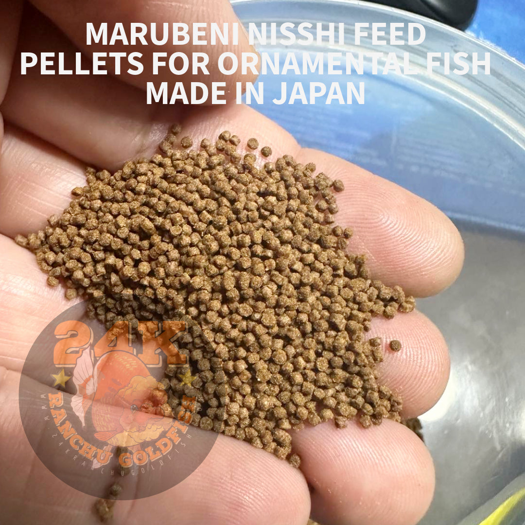 Marubeni Nisshin High Quality Goldfish Sinking Pellets Original Japan
