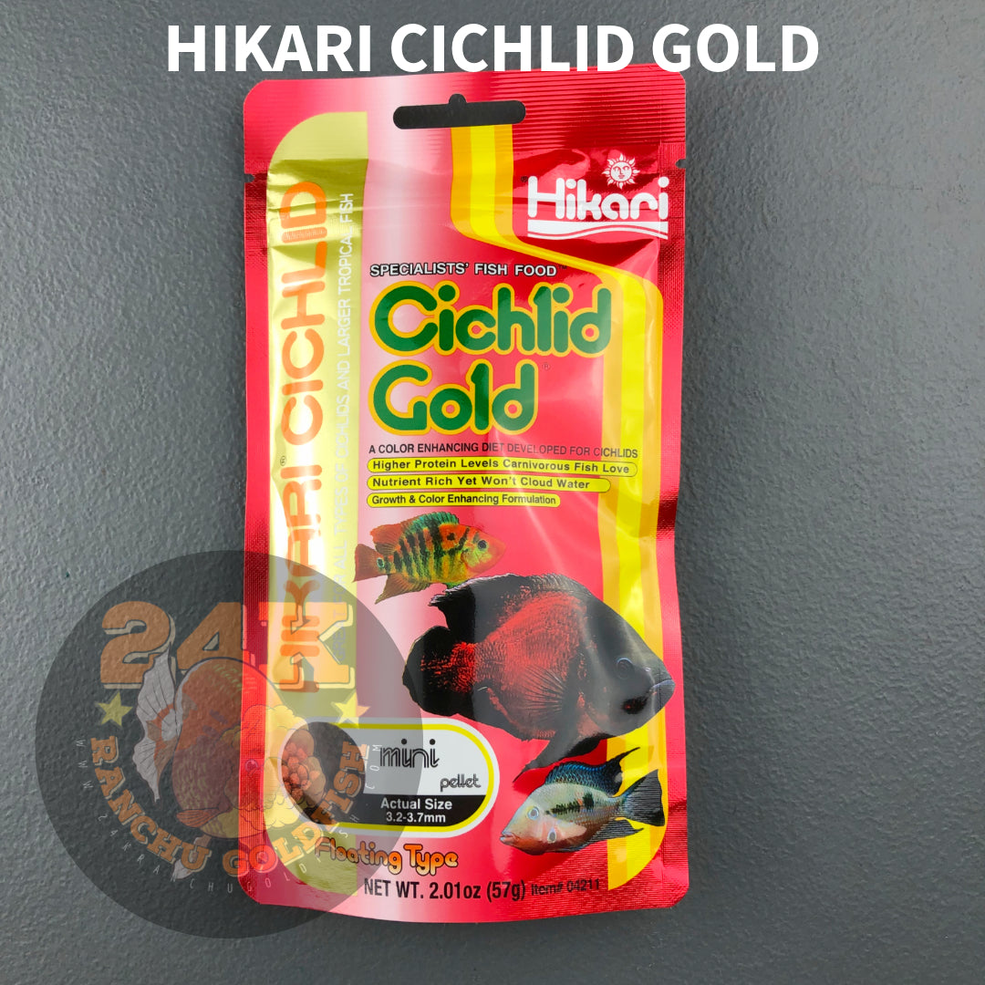 Hikari Cichlid Gold Floating Pellets Color-Enhancing Diet For Cichlids And Larger Tropical Fish Original Japan