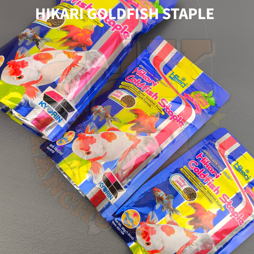 Hikari Goldfish Staple Floating Pellets For All Types Of Goldfish and Koi Fry Original Japan