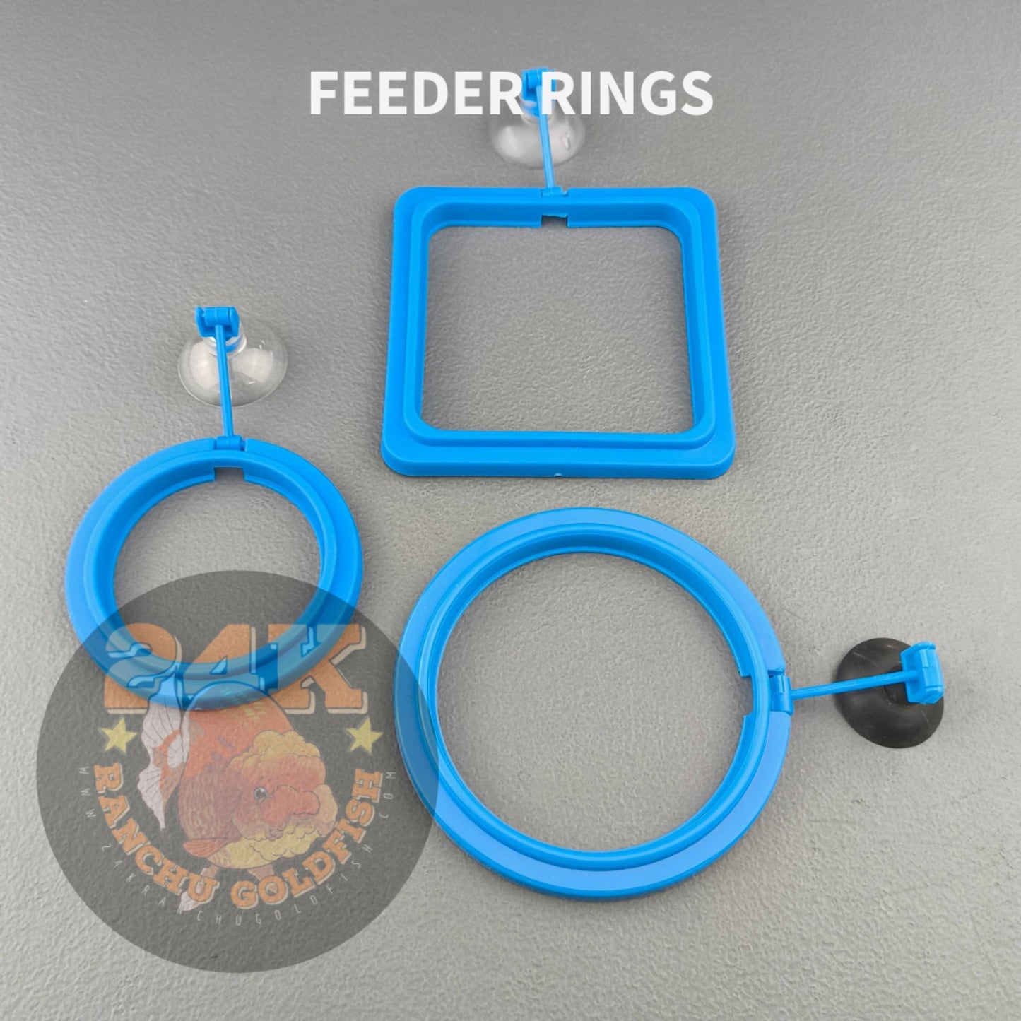 Feeding Ring Floater for Dried Tubifex, Daphnia, Bloodworms, and Other Floating Fish Food