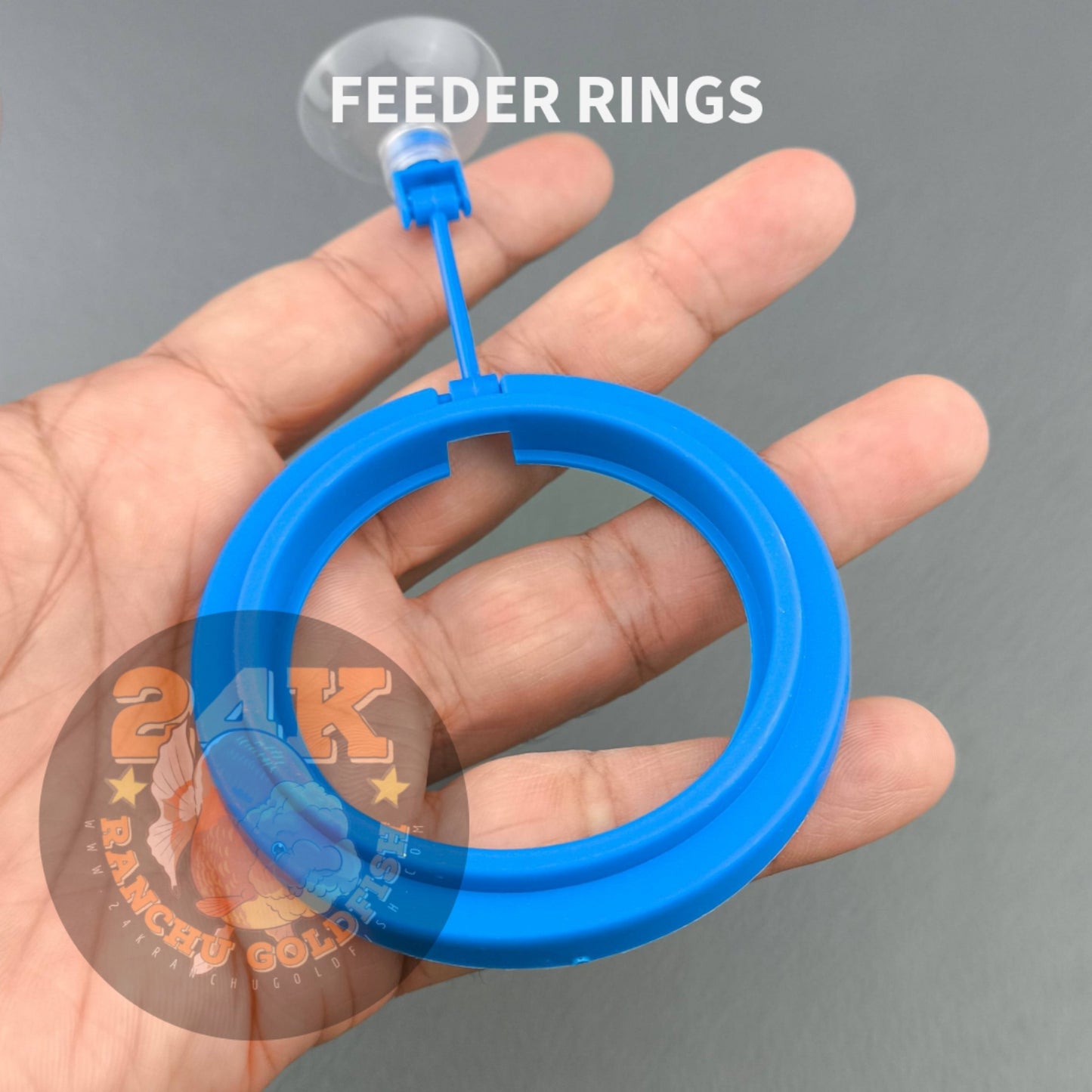 Feeding Ring Floater for Dried Tubifex, Daphnia, Bloodworms, and Other Floating Fish Food