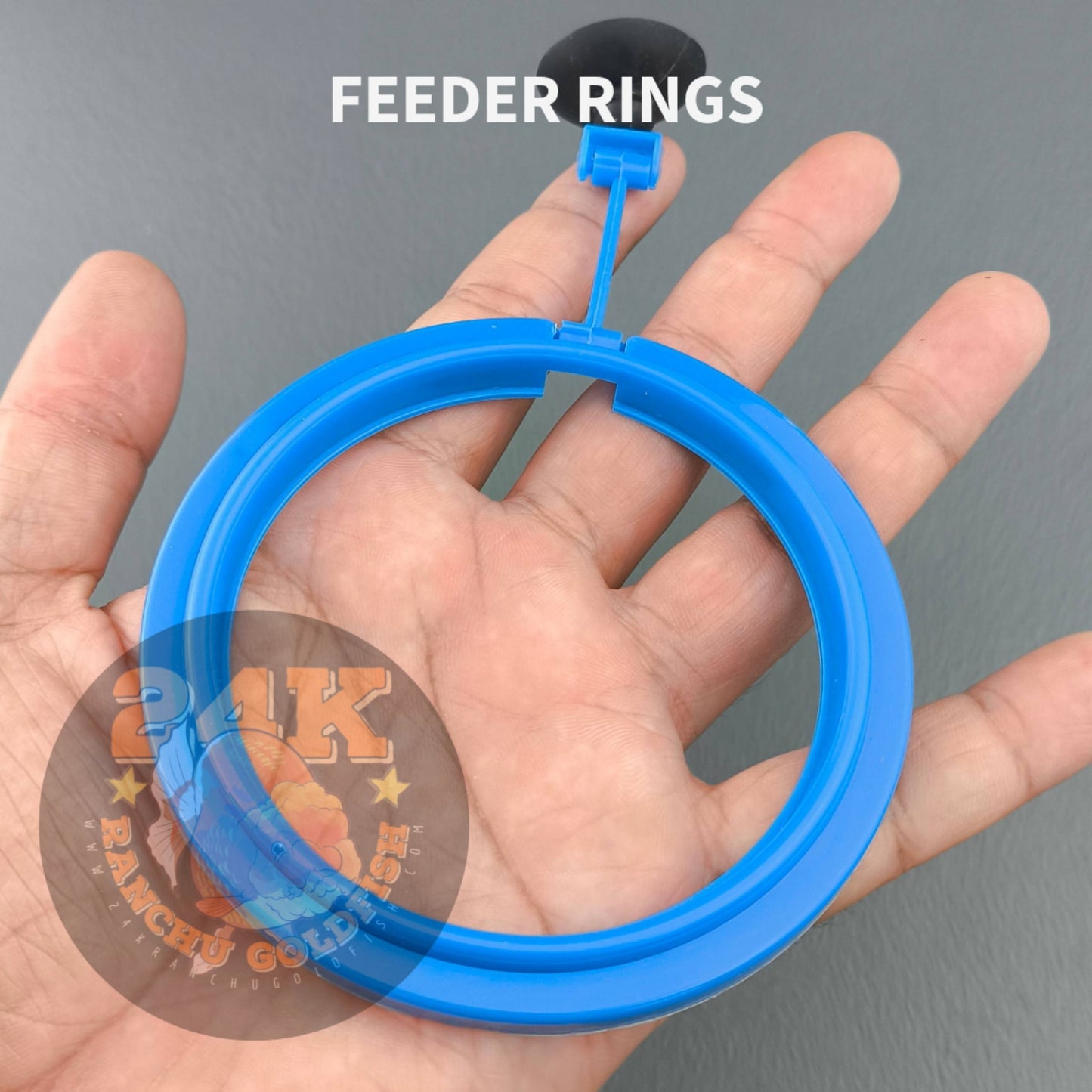 Feeding Ring Floater for Dried Tubifex, Daphnia, Bloodworms, and Other Floating Fish Food