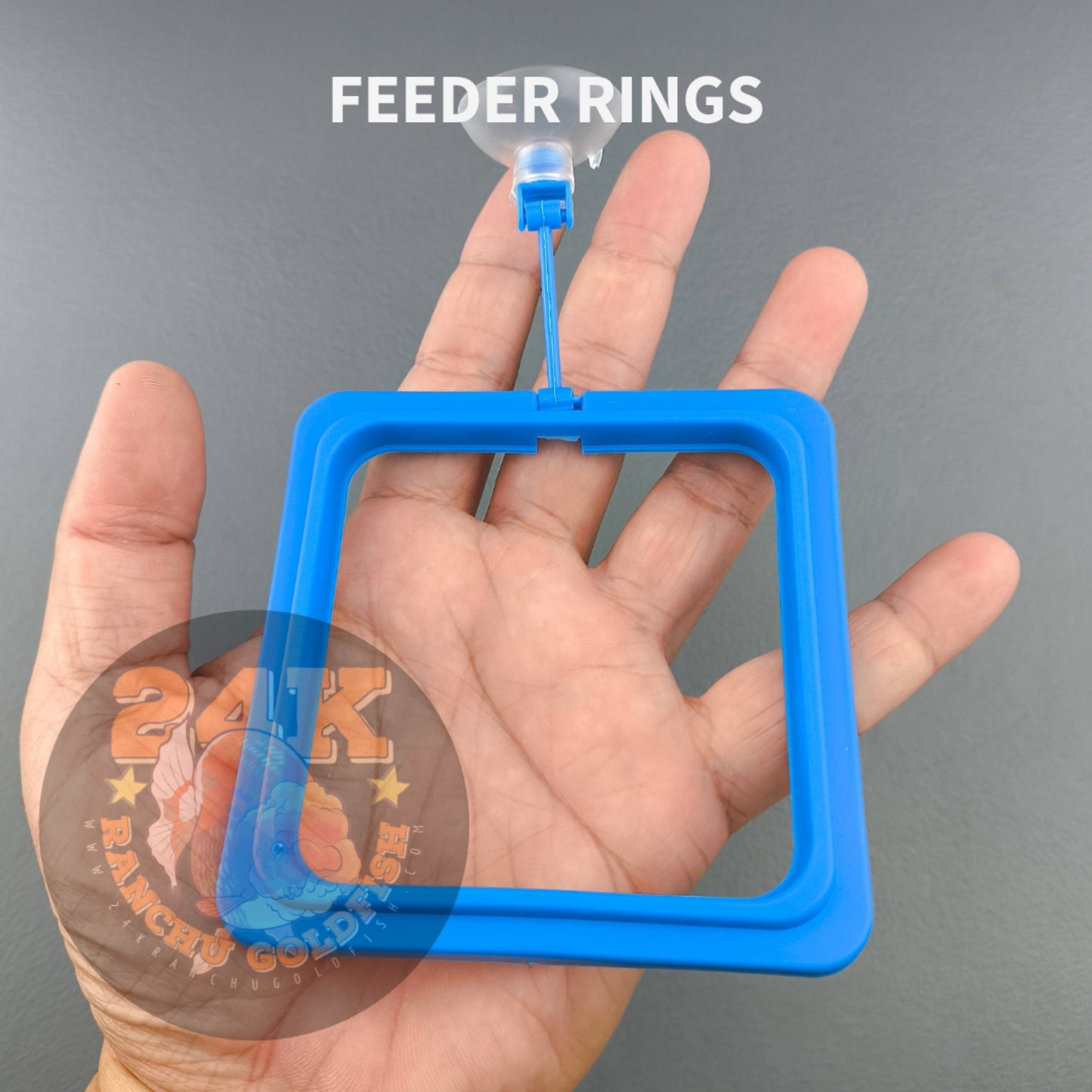 Feeding Ring Floater for Dried Tubifex, Daphnia, Bloodworms, and Other Floating Fish Food