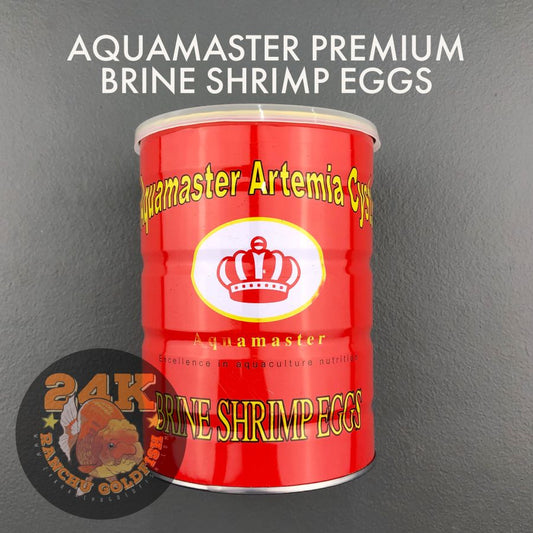 Aquamaster Brine Shrimp Eggs Premium Grade BBS (10g, 20g, 50g, 100g)