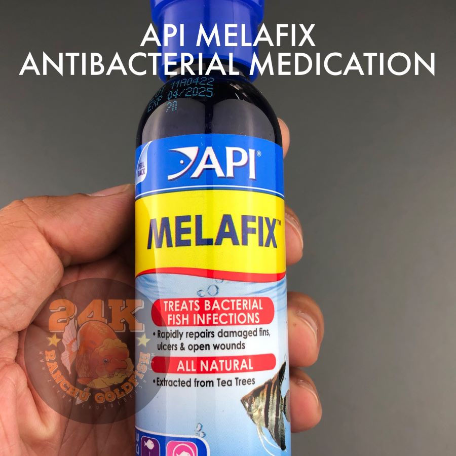 API Melafix Antibacterial Treatment for Fish Wounds and Abrasions Tail Rot Eye Cloud Fungus Original 118ml 4oz