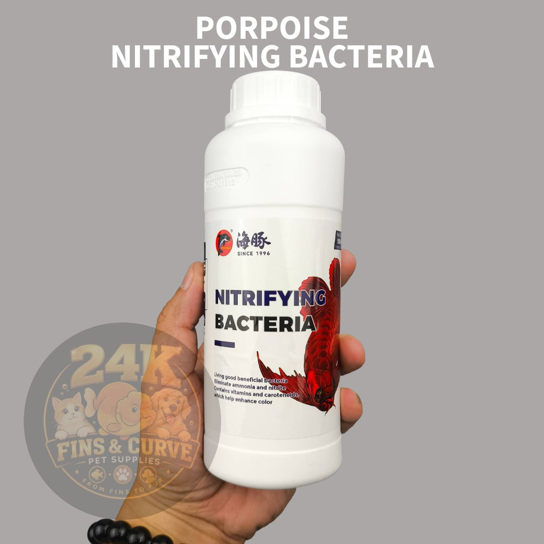 PORPOISE Nitrifying Bacteria for Aquarium, Fish Tanks, and Ponds 500ml
