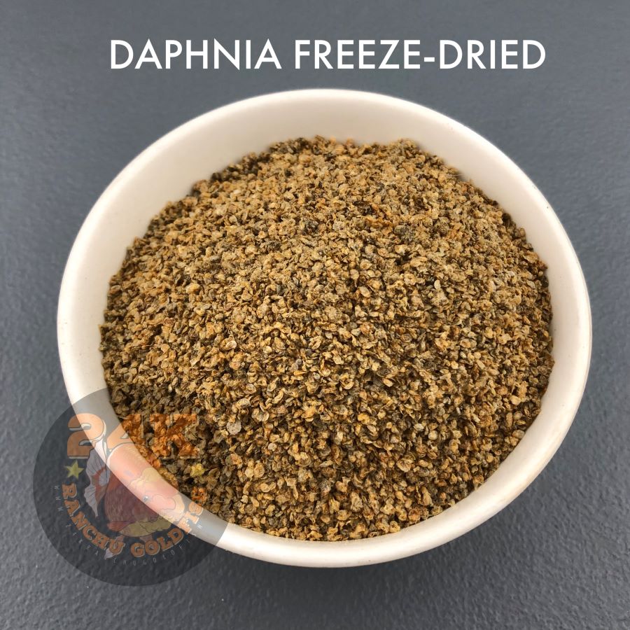 Daphnia Freeze-Dried Ready-to-Feed Fish Food for Aquatic Pets