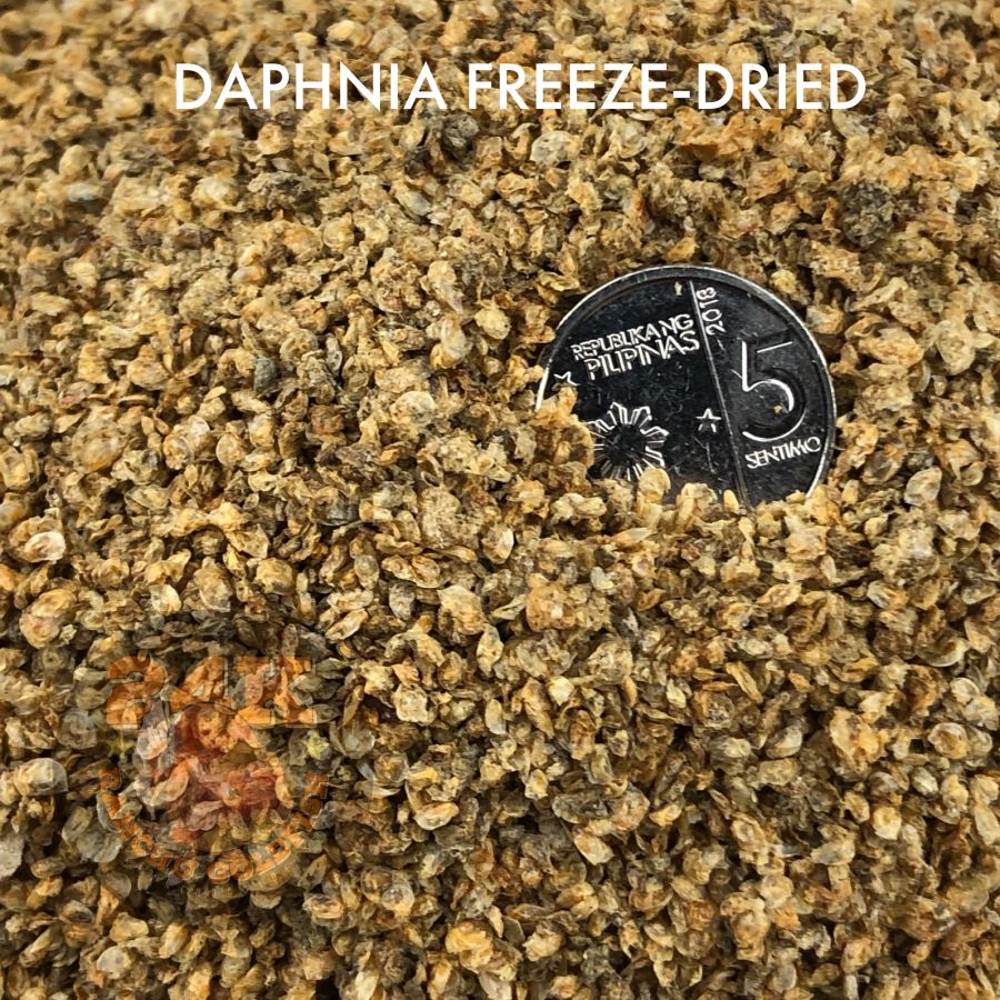 Daphnia Freeze-Dried Ready-to-Feed Fish Food for Aquatic Pets
