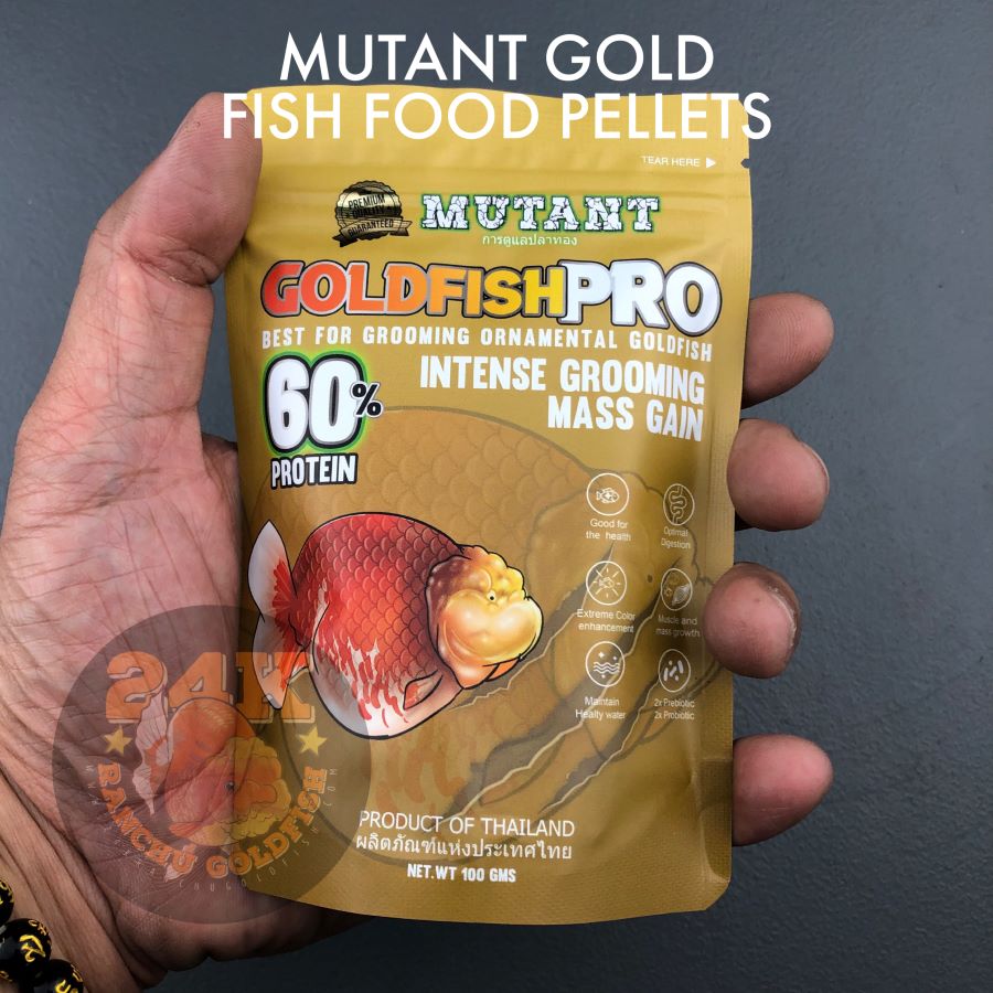 Mutant Gold Ornamental Goldfish Pro Pellet Sinking Intense Grooming and Mass Gain Thailand 100g