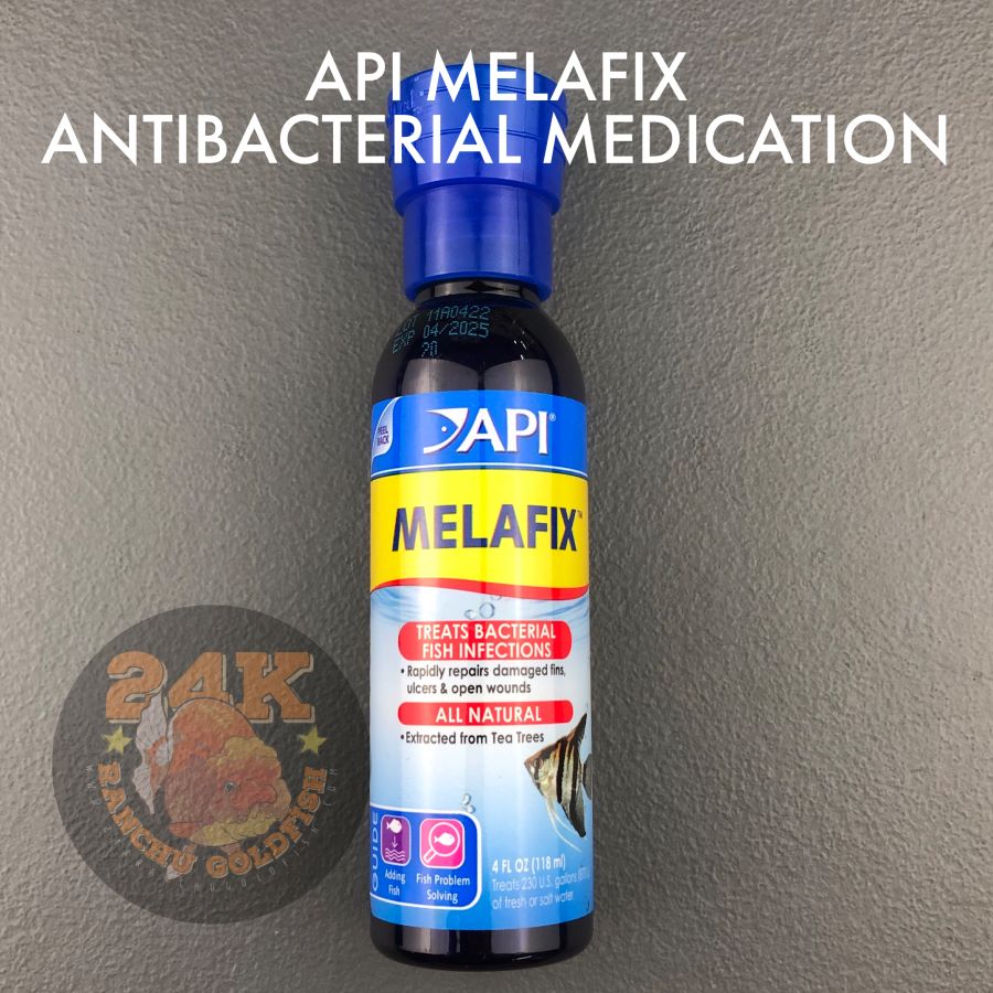 API Melafix Antibacterial Treatment for Fish Wounds and Abrasions Tail Rot Eye Cloud Fungus Original 118ml 4oz