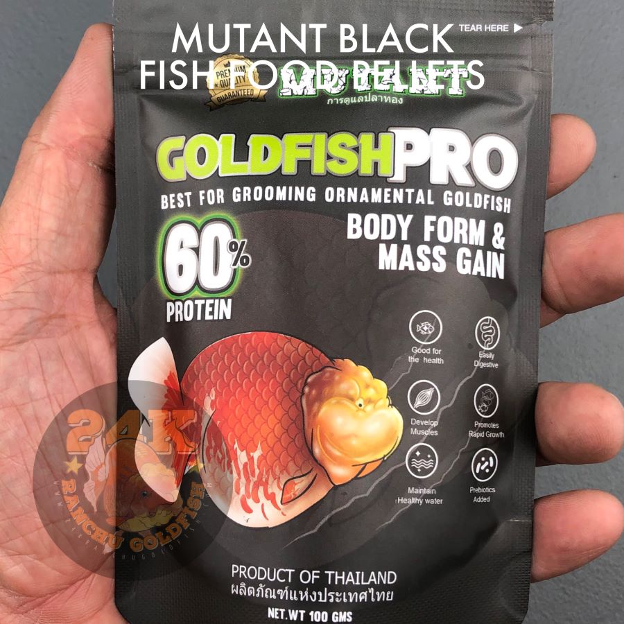 Mutant Black Ornamental Goldfish Pro Pellet Sinking Body Form and Mass Gain Thailand 100g