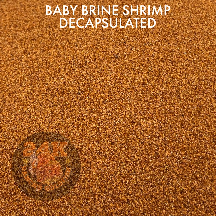 Baby Brine Shrimp Decapsulated Ready-to-Feed Fish Food For Small Fry and Aquatic Pets