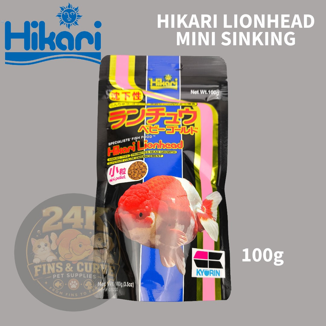 Hikari Lionhead Goldfish Sinking Pellets for Head Growth and Color Original Japan (50g, 100g)
