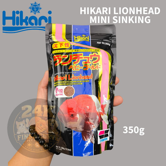 Hikari Lionhead Goldfish Sinking Pellets for Head Growth and Color Original Japan 350g