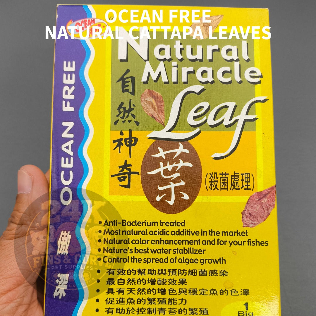 Ocean Free Natural Miracle Leaf Catappa Leaves Aquarium Water Conditioner 1 Big Sachet