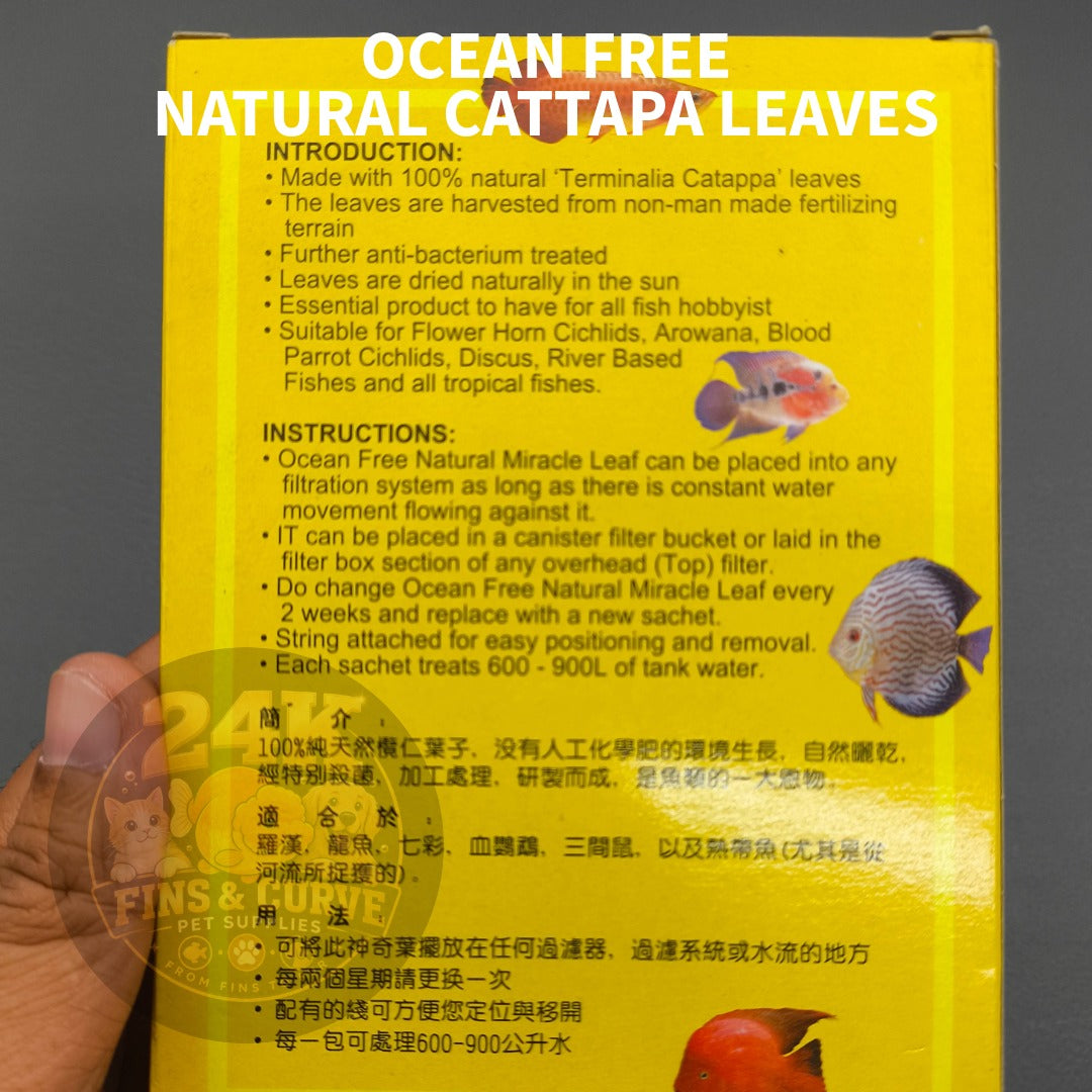 Ocean Free Natural Miracle Leaf Catappa Leaves Aquarium Water Conditioner 1 Big Sachet