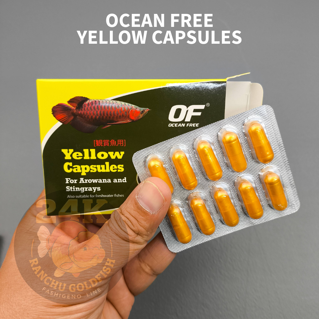 Ocean Free Yellow Capsules Aquarium Use 10pcs Water Care Support for Arowana Stingray Fish