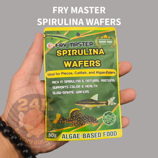 FRY MASTER Spirulina Wafers 50g Algae Wafer Food for Pleco, Catfish & Bottom Feeders Slow Sinking Fish Food