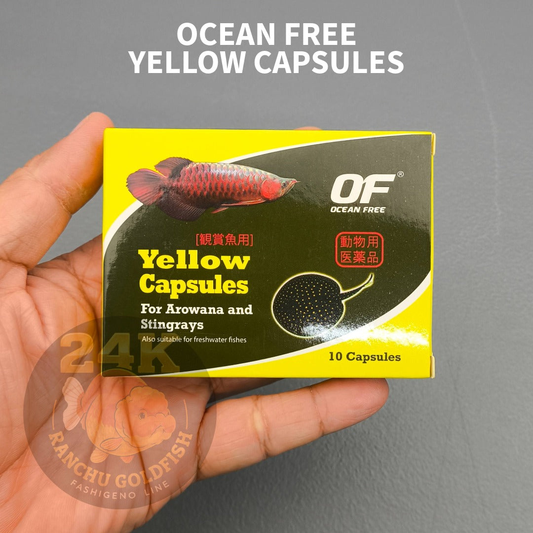 Ocean Free Yellow Capsules Aquarium Use 10pcs Water Care Support for Arowana Stingray Fish