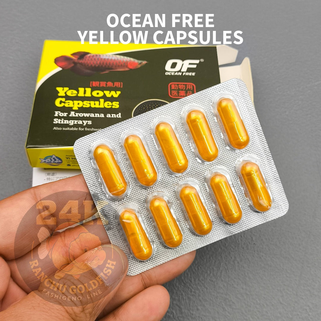 Ocean Free Yellow Capsules Aquarium Use 10pcs Water Care Support for Arowana Stingray Fish