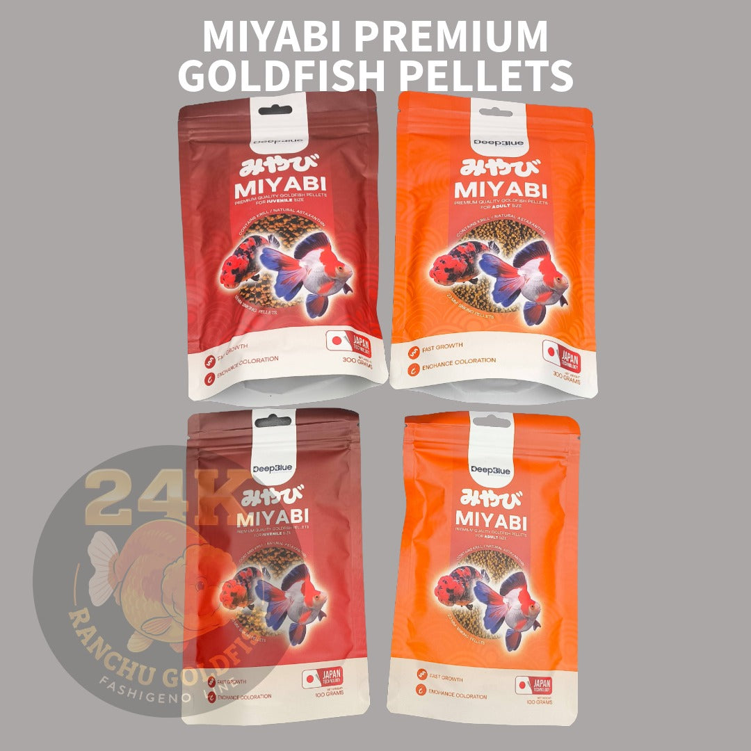 MIYABI Goldfish Pellets Premium Quality for Fast Growth and Enchance Coloration
