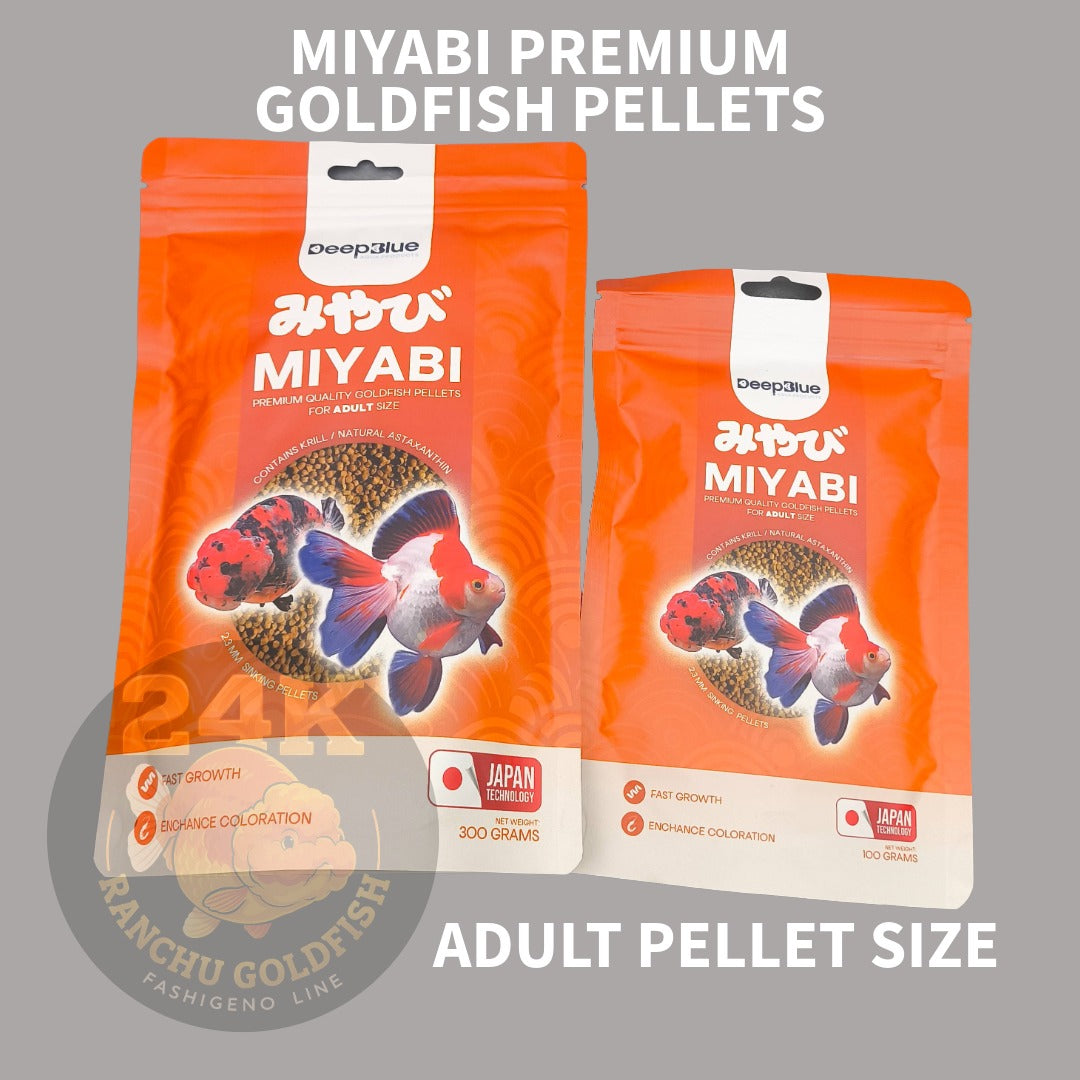 MIYABI Goldfish Pellets Premium Quality for Fast Growth and Enchance Coloration