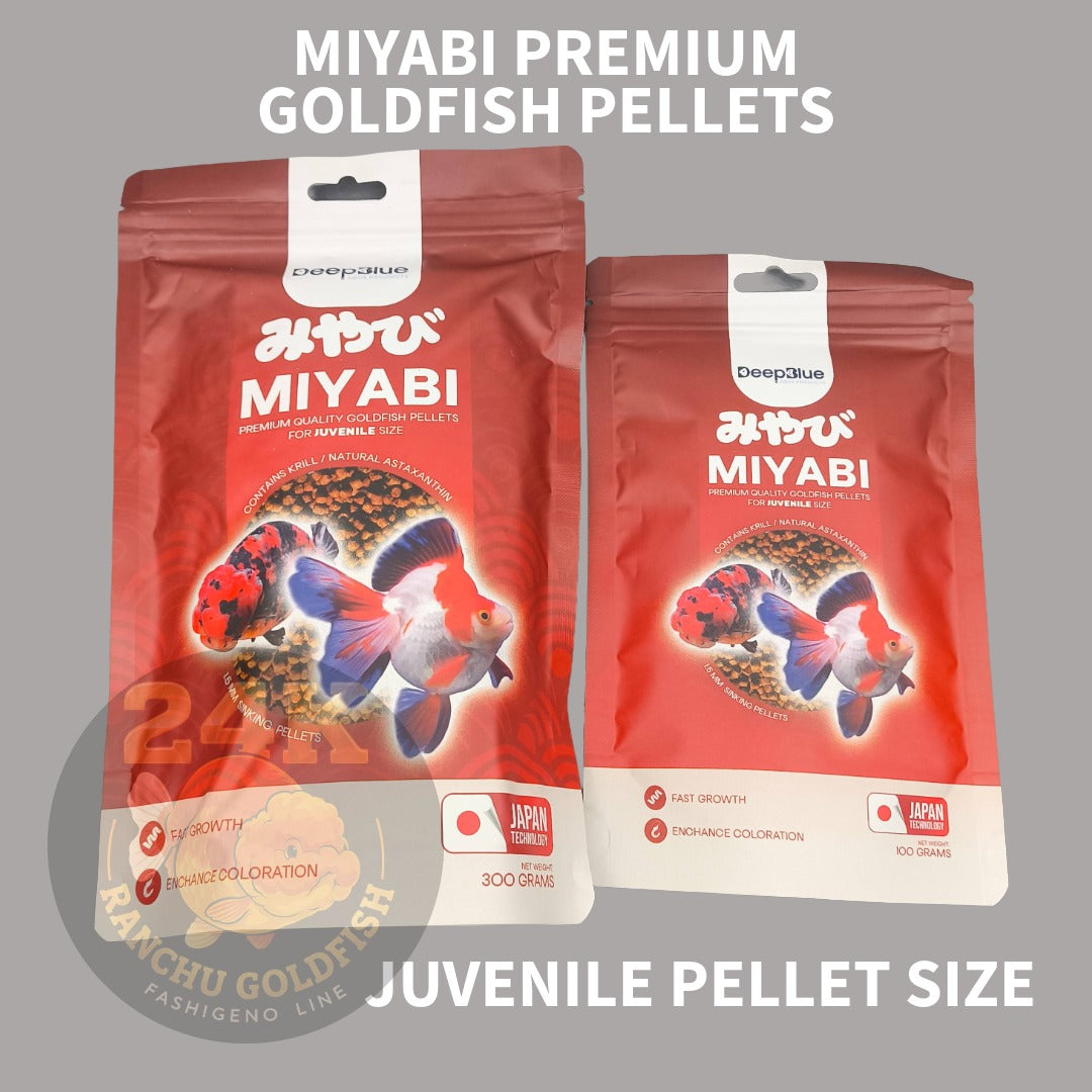 MIYABI Goldfish Pellets Premium Quality for Fast Growth and Enchance Coloration