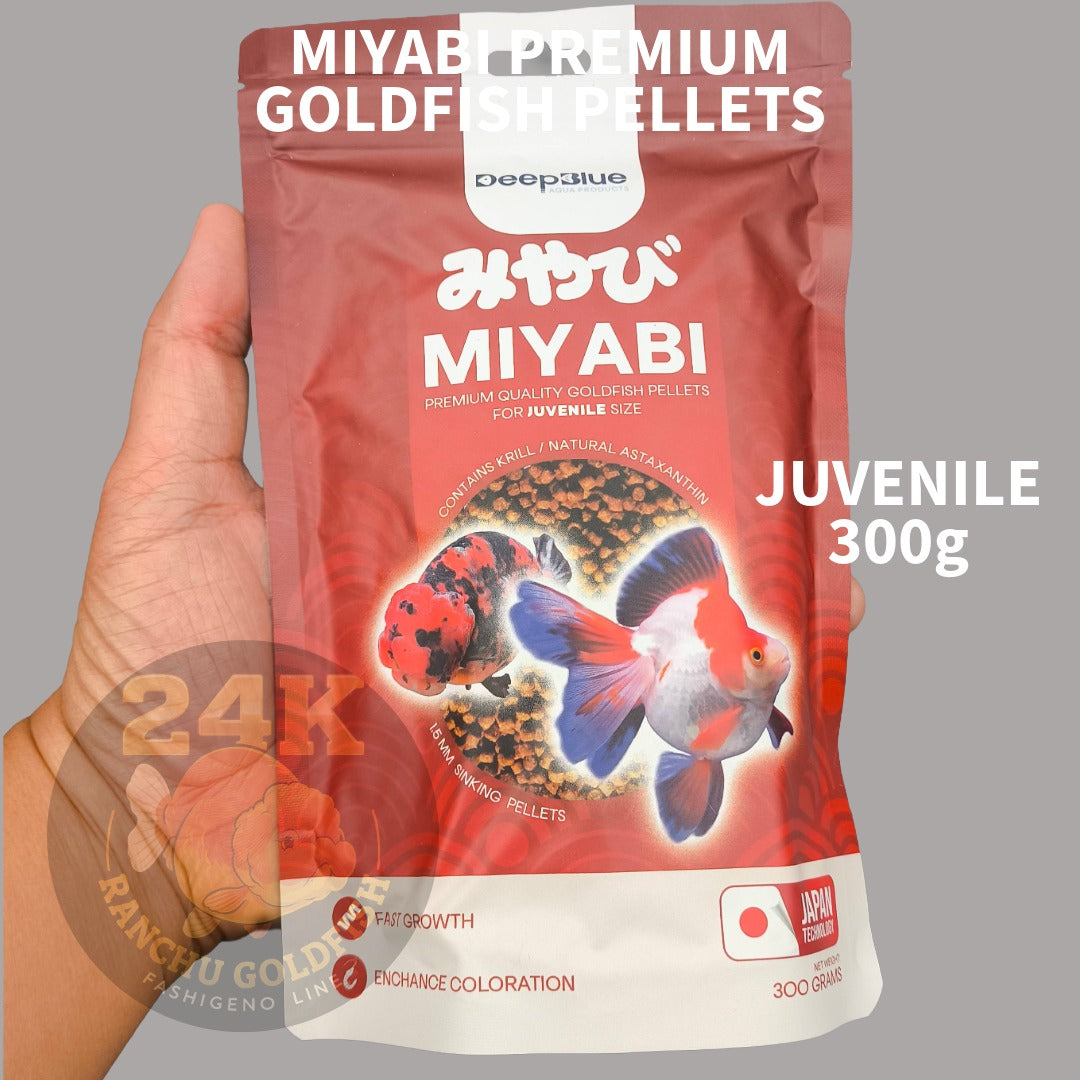 MIYABI Goldfish Pellets Premium Quality for Fast Growth and Enchance Coloration