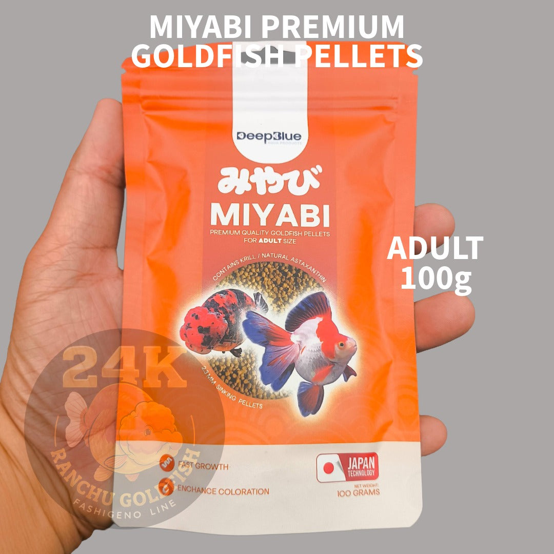 MIYABI Goldfish Pellets Premium Quality for Fast Growth and Enchance Coloration