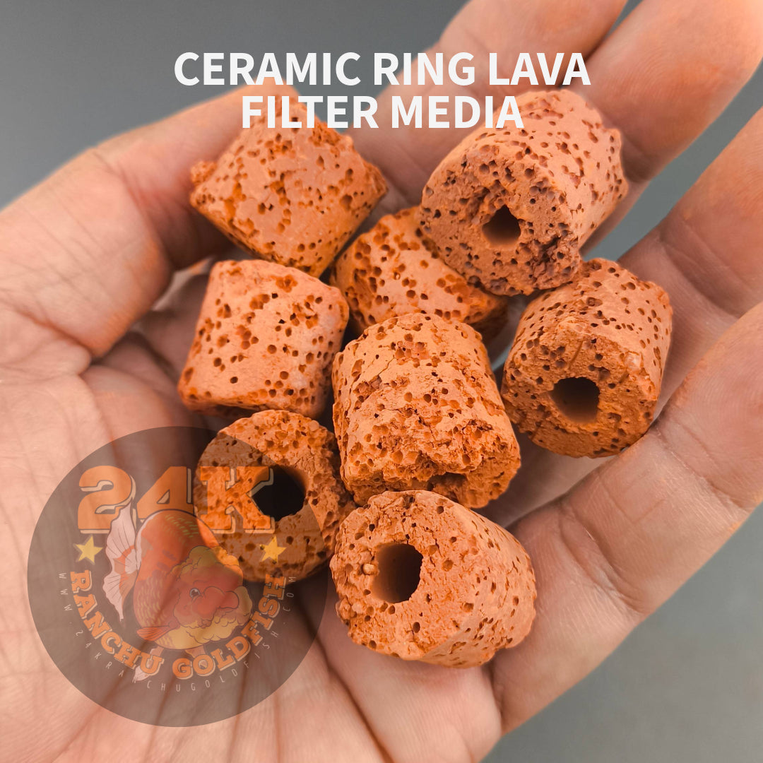 Ceramic Rings Lava Filter Media for Sump Tank, Pond, Fish Tank, and Aquarium DIY Filter