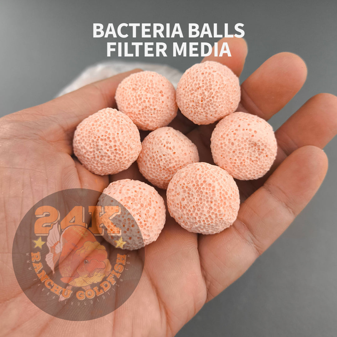 Bacteria Balls Filter Media for Sump Tank, Pond, Fish Tank, and Aquarium DIY Filter