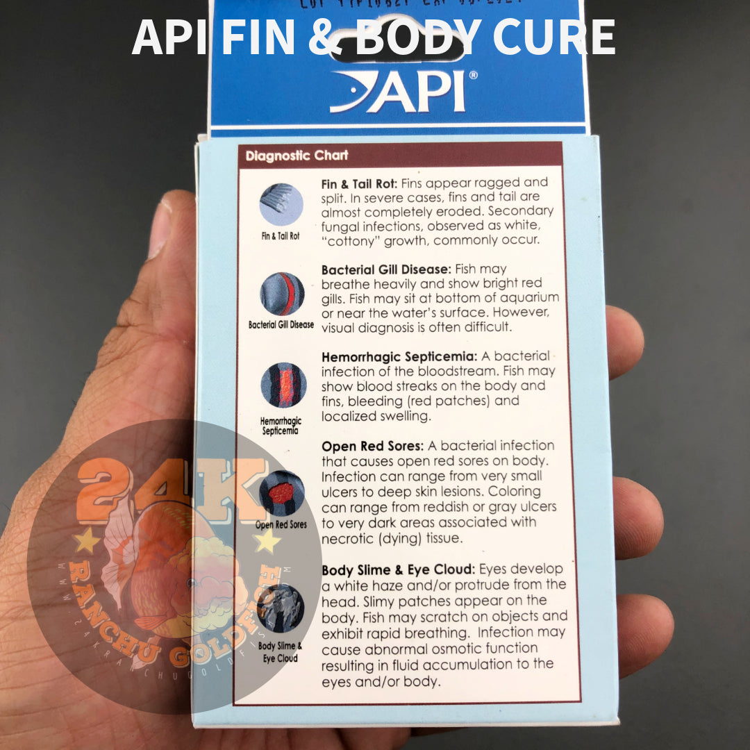 API Fin and Body Cure Treatment for Body Slime, Eye Cloud, Fin & Tail Rot, Open Red Sores, Gill Disease Original