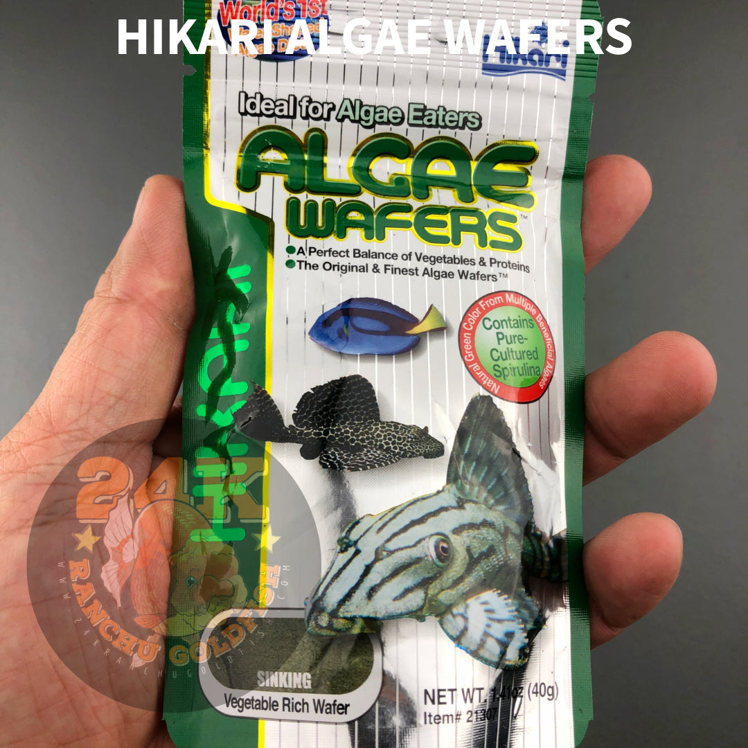 Hikari Algae Wafers Sinking Vegetable Rich Wafer For Plecostomus And Other Algae Eating Fishes 40g, 82g Original Japan