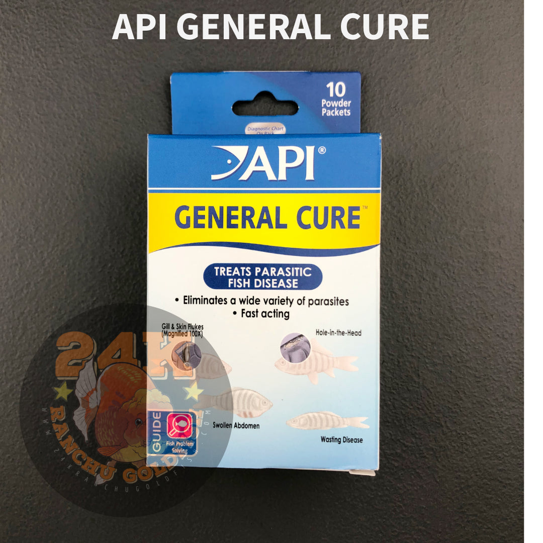 API General Cure Treatment for Freshwater and Saltwater Fish Internal Parasitic Diseases Original