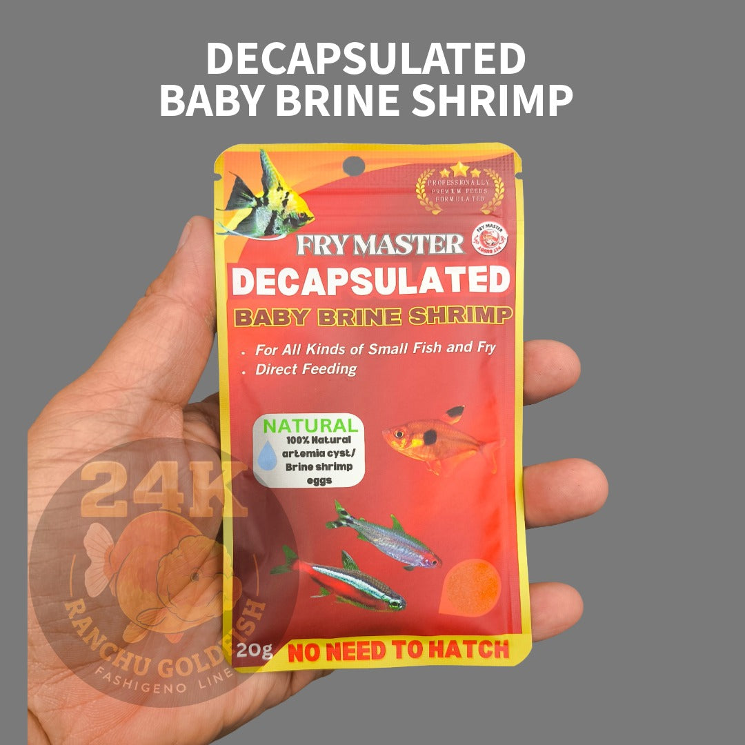 Baby Brine Shrimp Decapsulated Ready-to-Feed Fish Food For Small Fry and Aquatic Pets