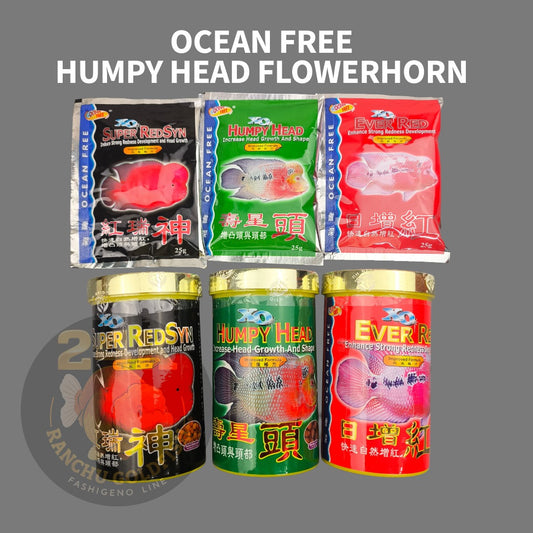 Ocean Free XO Humpy Head Ever Red and Super Red Syn Flowerhorn  Kok & Color Support