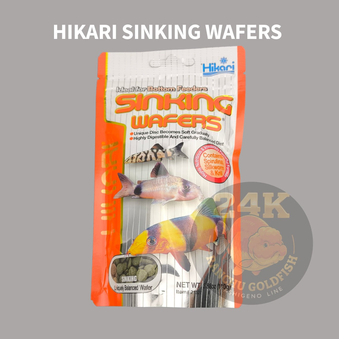 Hikari Sinking Wafers Bottom Tank Species Support Pellets For Catfish Loaches & Bottom Dwellers