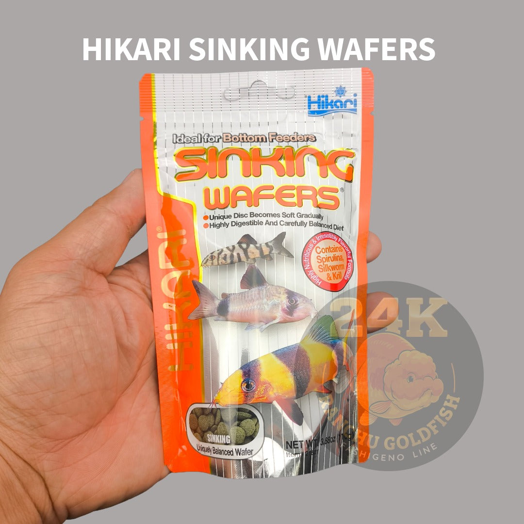 Hikari Sinking Wafers Bottom Tank Species Support Pellets For Catfish Loaches & Bottom Dwellers